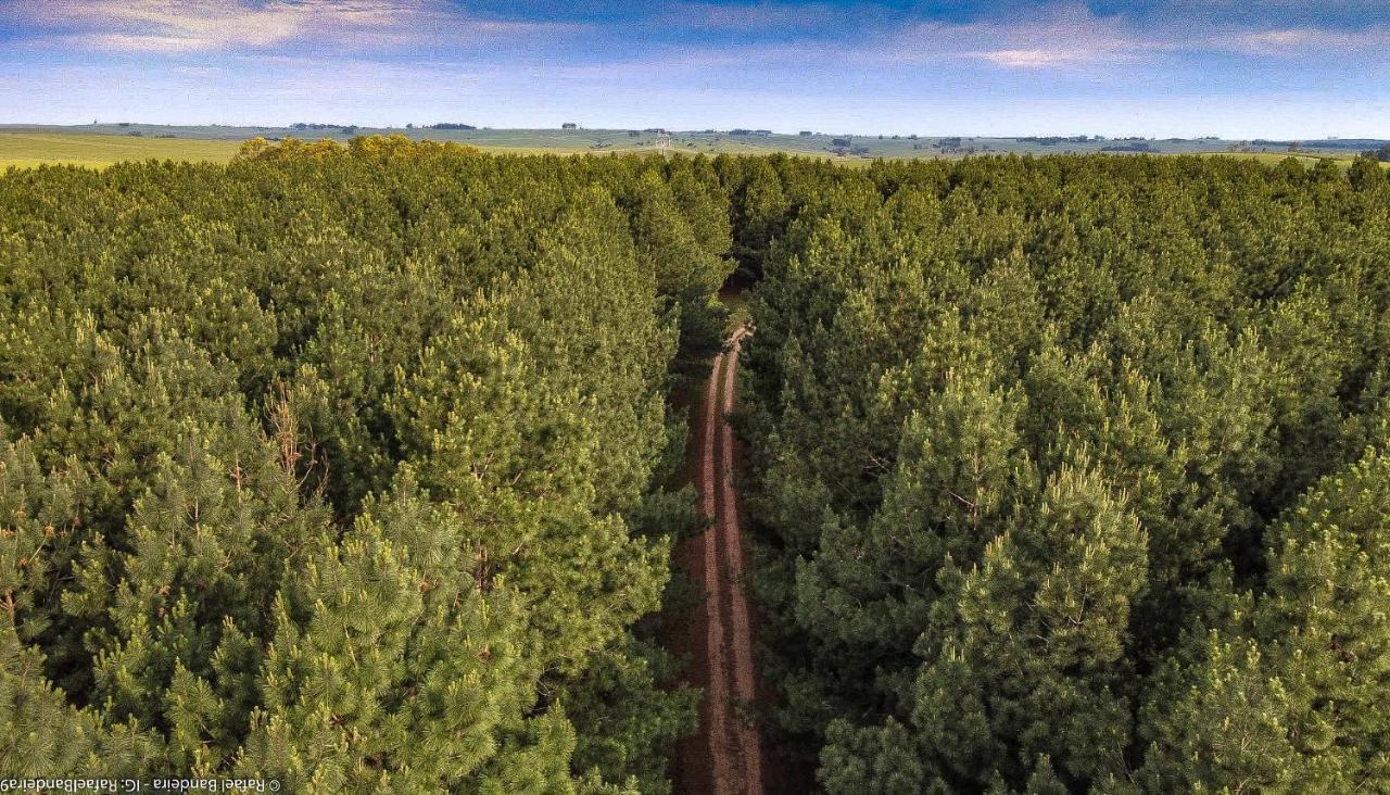 Vila Pinos De La Quebrada Quebrada de los Cuervos Exteriér fotografie