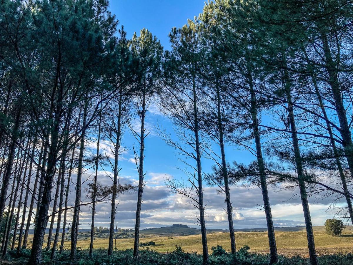 Vila Pinos De La Quebrada Quebrada de los Cuervos Exteriér fotografie