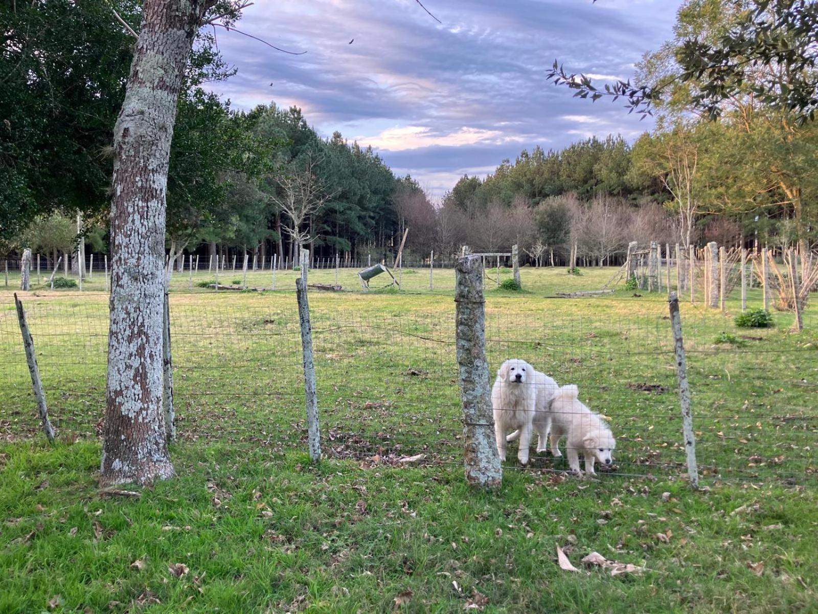 Vila Pinos De La Quebrada Quebrada de los Cuervos Exteriér fotografie