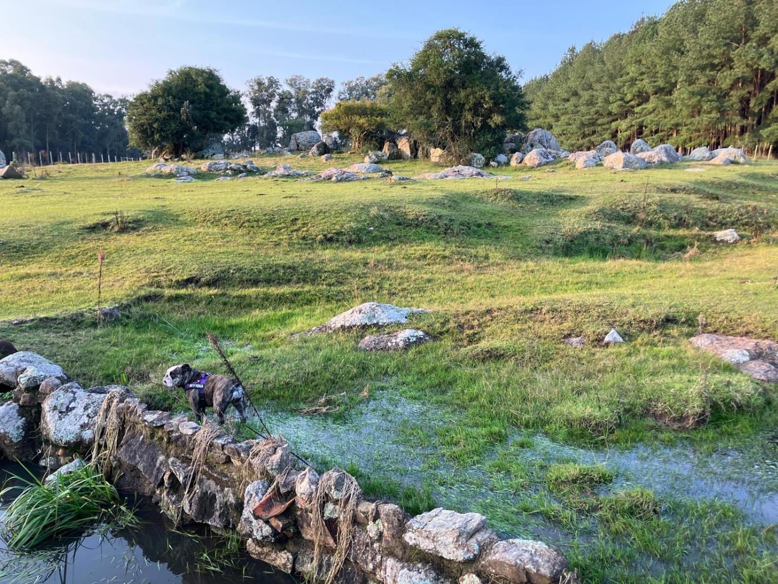 Vila Pinos De La Quebrada Quebrada de los Cuervos Exteriér fotografie