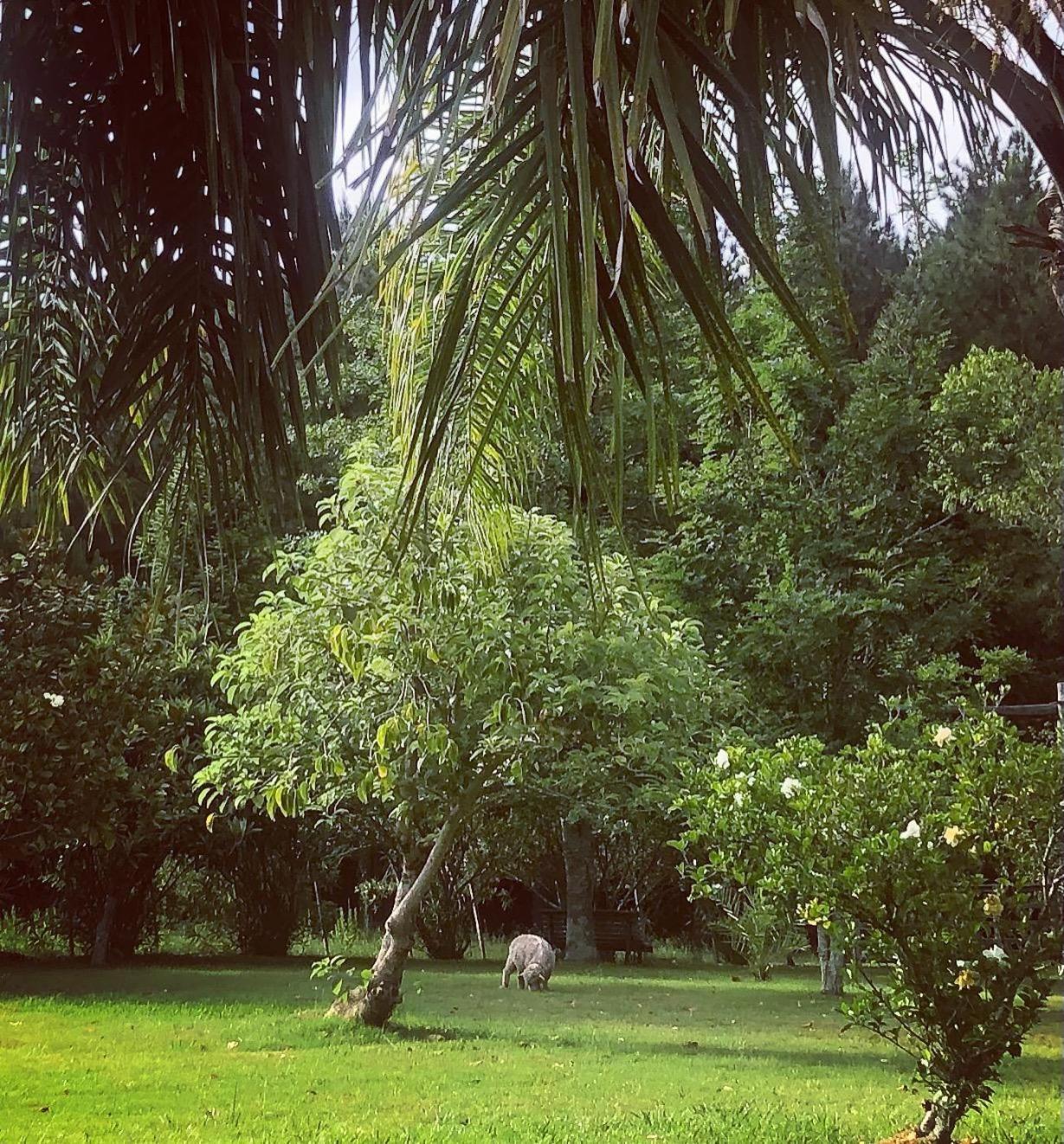 Vila Pinos De La Quebrada Quebrada de los Cuervos Exteriér fotografie