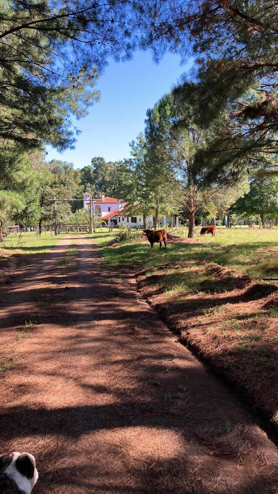 Vila Pinos De La Quebrada Quebrada de los Cuervos Exteriér fotografie