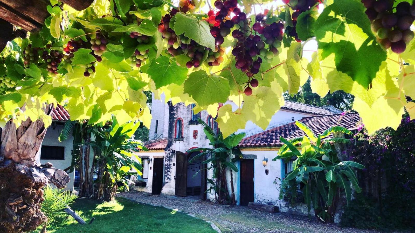 Vila Pinos De La Quebrada Quebrada de los Cuervos Exteriér fotografie