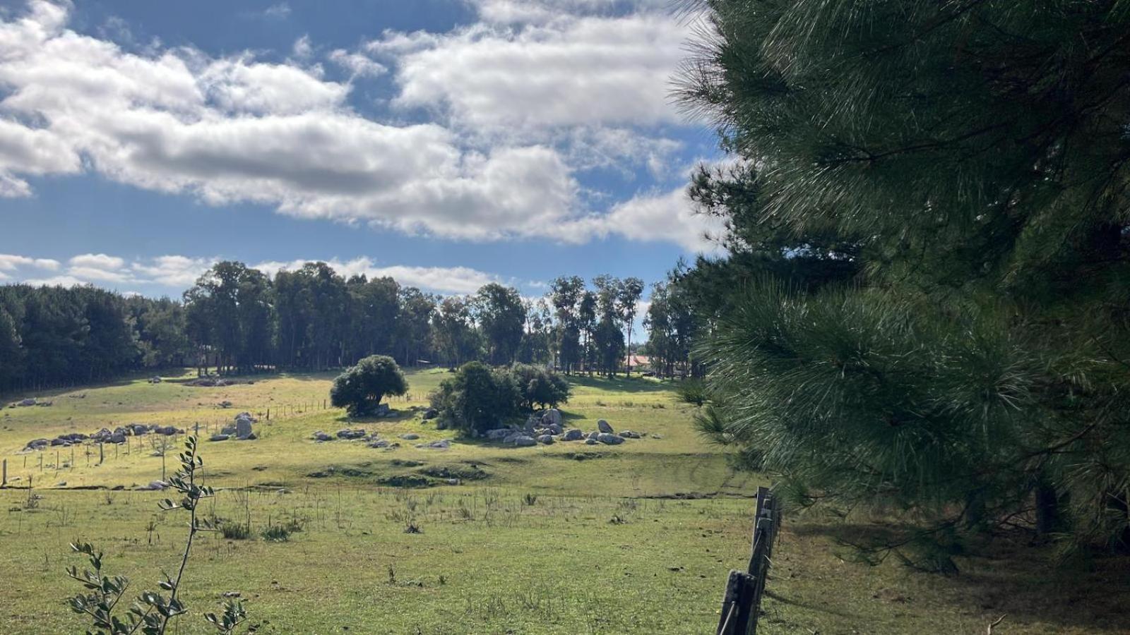 Vila Pinos De La Quebrada Quebrada de los Cuervos Exteriér fotografie