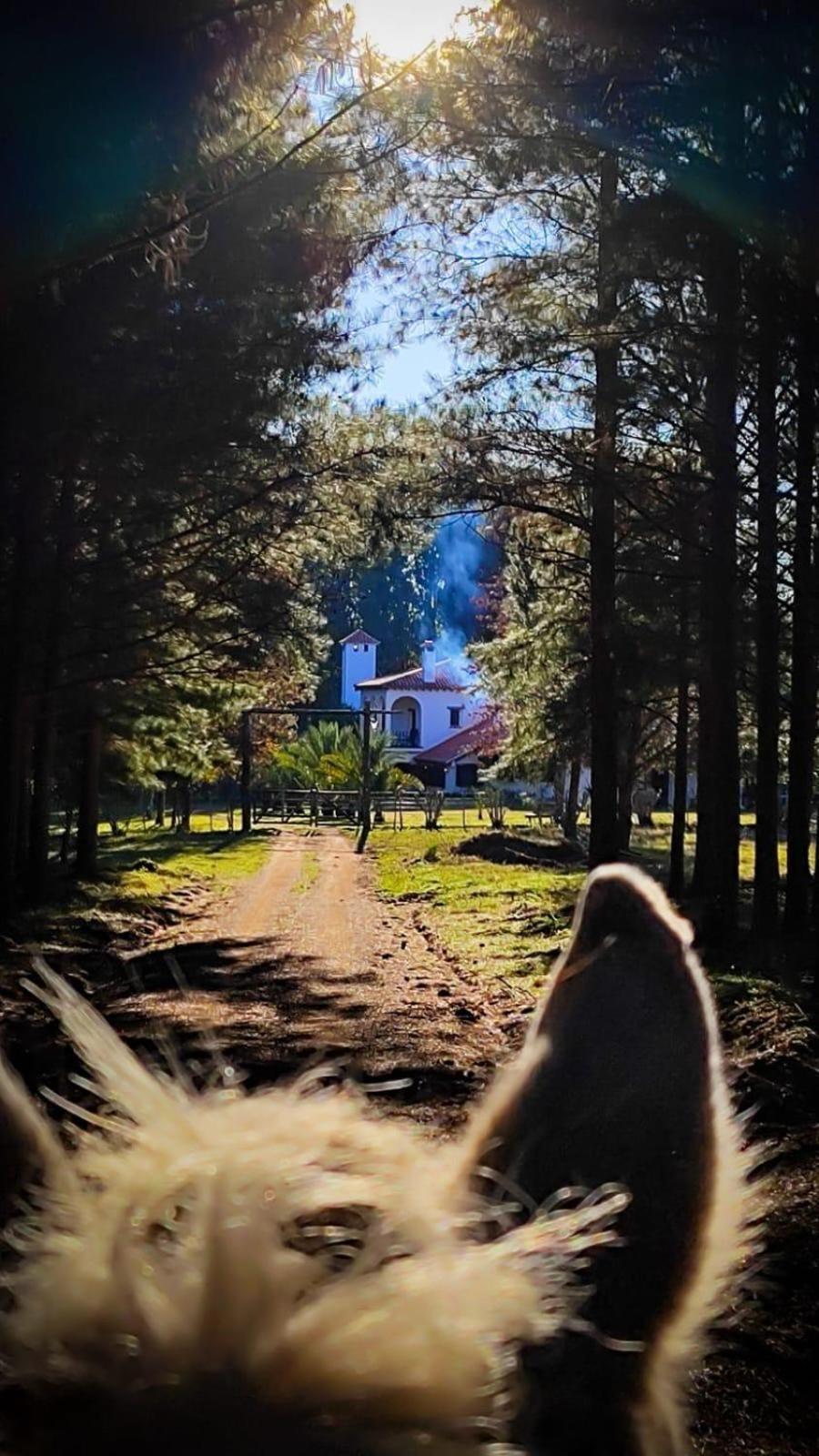 Vila Pinos De La Quebrada Quebrada de los Cuervos Exteriér fotografie