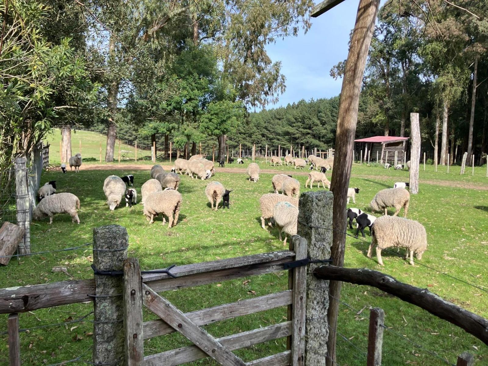 Vila Pinos De La Quebrada Quebrada de los Cuervos Exteriér fotografie