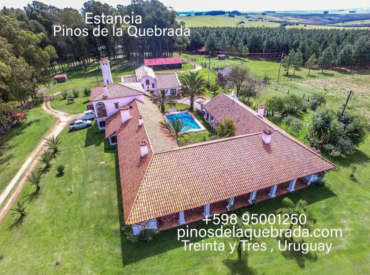 Vila Pinos De La Quebrada Quebrada de los Cuervos Exteriér fotografie